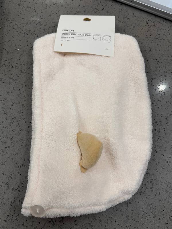 Толгойн алчуур